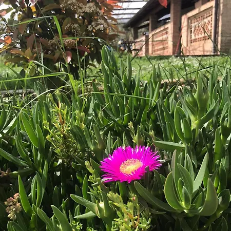 La Fattoria Di Farma *