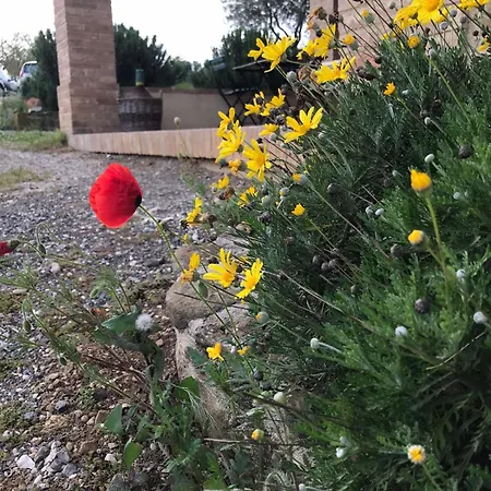 La Fattoria Di Farma Perugia