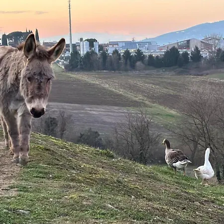 La Fattoria Di *