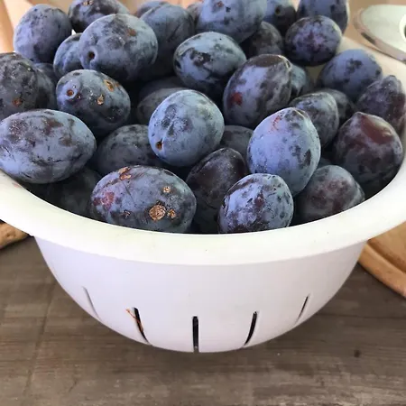 Vakantieboerderij La Fattoria Di *