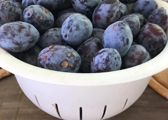 Vakantieboerderij La Fattoria Di *