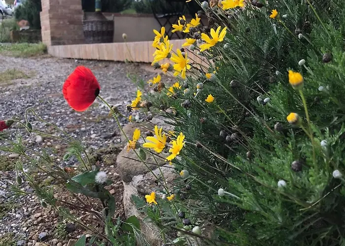 La Fattoria Di Farma Perugia